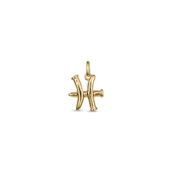 Piscis Charm