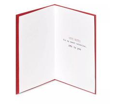 Love Notes Valentine's Day Greeting Card
