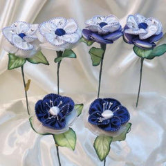 CF Viola